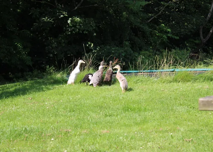 Appartement Sejersminde Odder