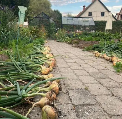 Sejersminde Apartman *